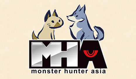 Monster Hunter Asia